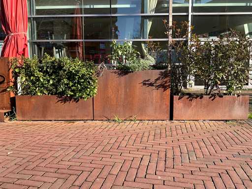 Metalen Plantenbak met inhoud (3x)