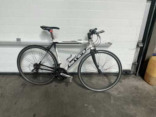 Bicicletta stradale Zannata
