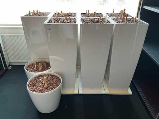 Lechuza Hydrocultuurpot (9x)