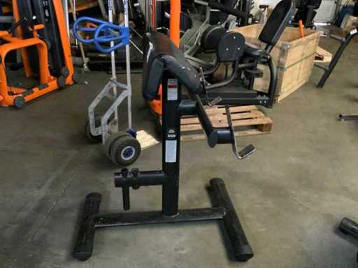 Central électrique Gym80 Signum biceps curl