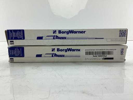  BorgWarner - PSG006-PPS - Glow plug (2x)