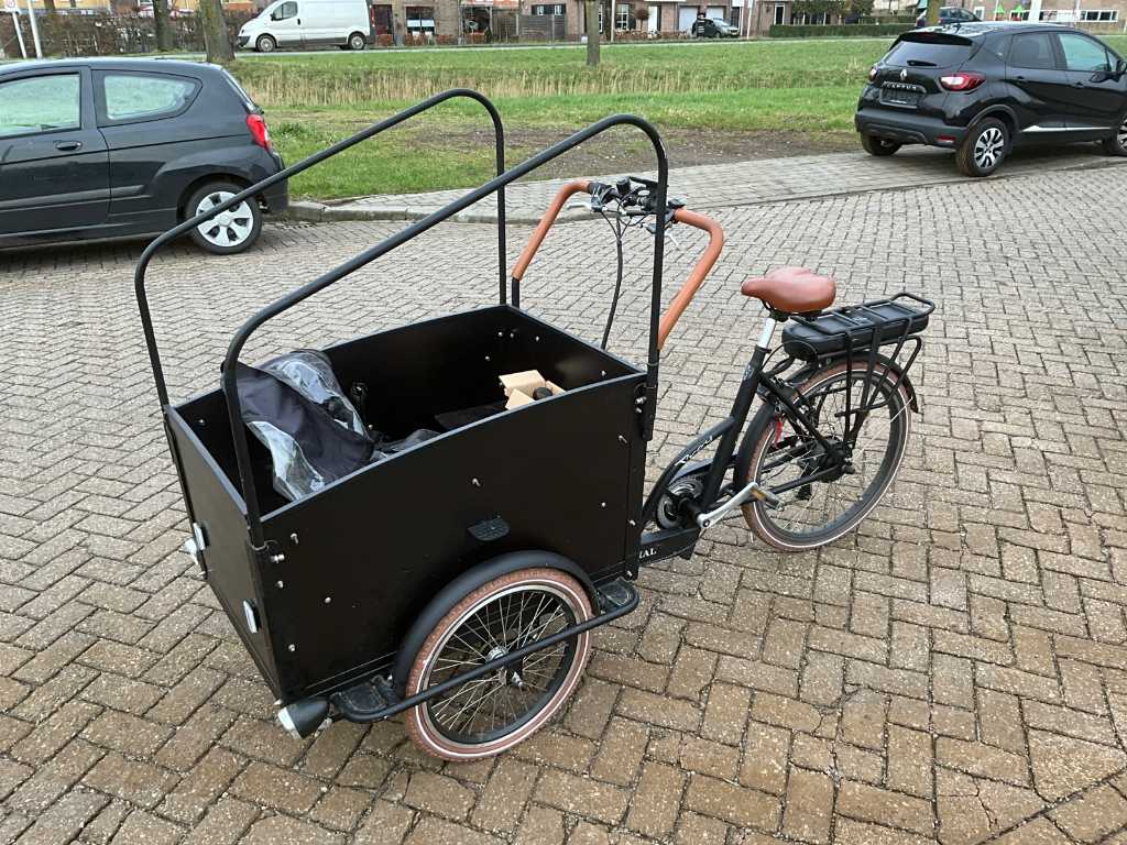 Troy basic best sale cargo bike