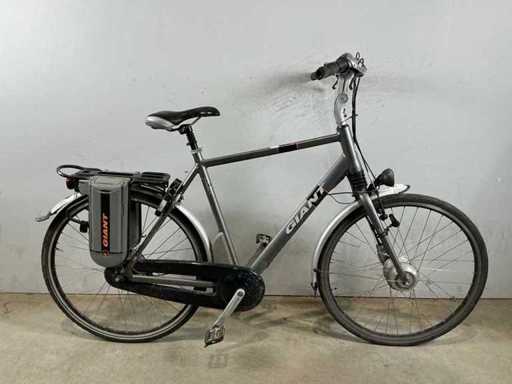 Bicicletta elettrica femminile