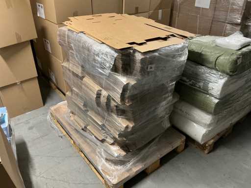 Raya Packaging - Lotto di scatole di cartone