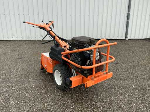 Barreto 1620 Tuinfrees