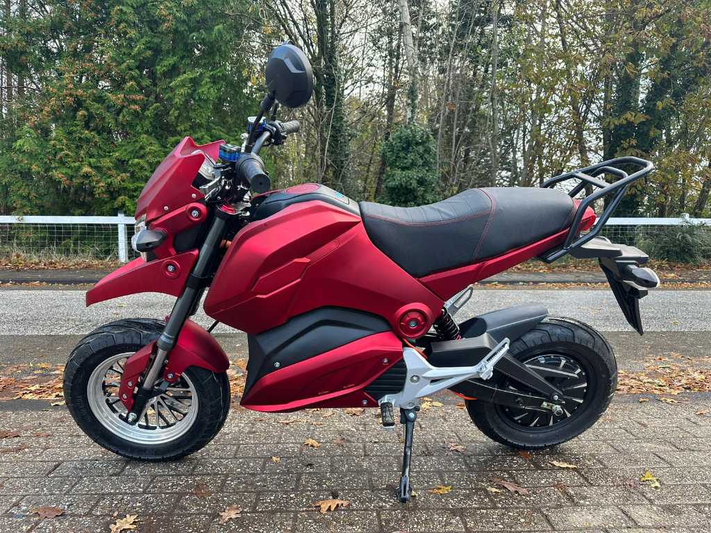 2023 Eco Scooter CP8.0 E-scooter