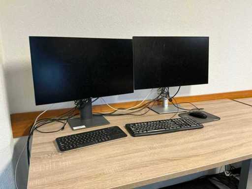 Monitorul Dell (2x)