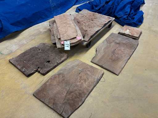 WALNUT - MAPLE - MADRONA Lot Walnut veneer - Maple - Madrona