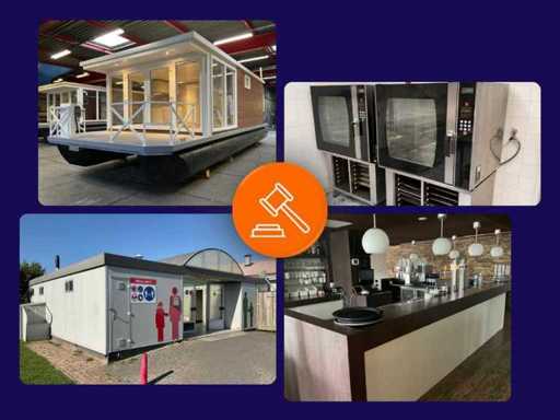 Collector's auction of various goods