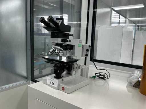 Leitz Wetzler Ortholux - Microscopio medidor Polar BK - Microscopio polarizador