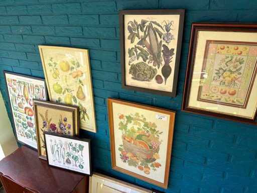 Partij Wanddecoratie (13x)