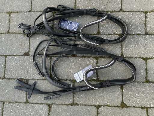 Bridle horses (2x)