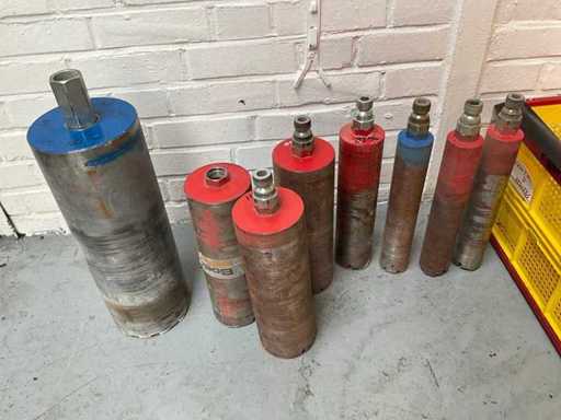 Rdzenie Carat Lot (8x)