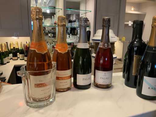 Vari tipi di champagne con il raffreddatore