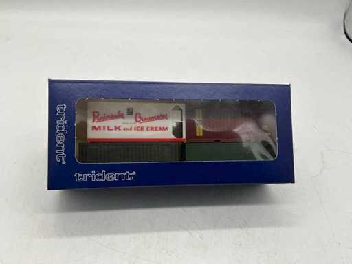Trident Finished Model Container
