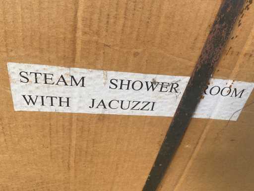 Steam shower with jacuzzi 