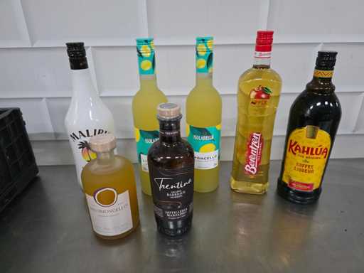 Malibu, Limoncello, etc. Sticla de băuturi spirtoase (7x)