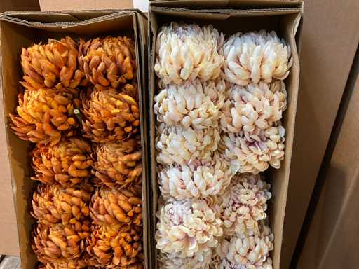 Silka Lot de fleurs artificielles