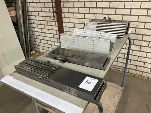 Aigner Frees Beveiliging (6x)