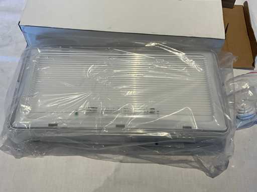 Éclairage d’urgence Showtec SafeLed