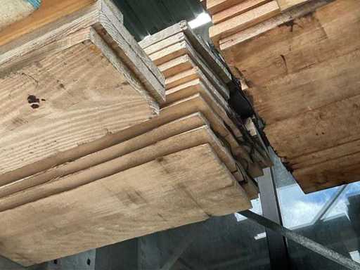 Beuken boomstambladen (14x)