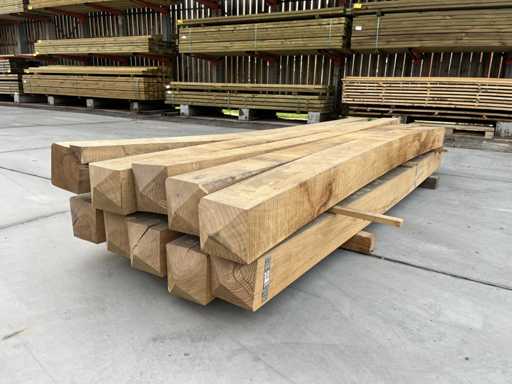 Robinia - Robinia Poortpaal 3m (10x)