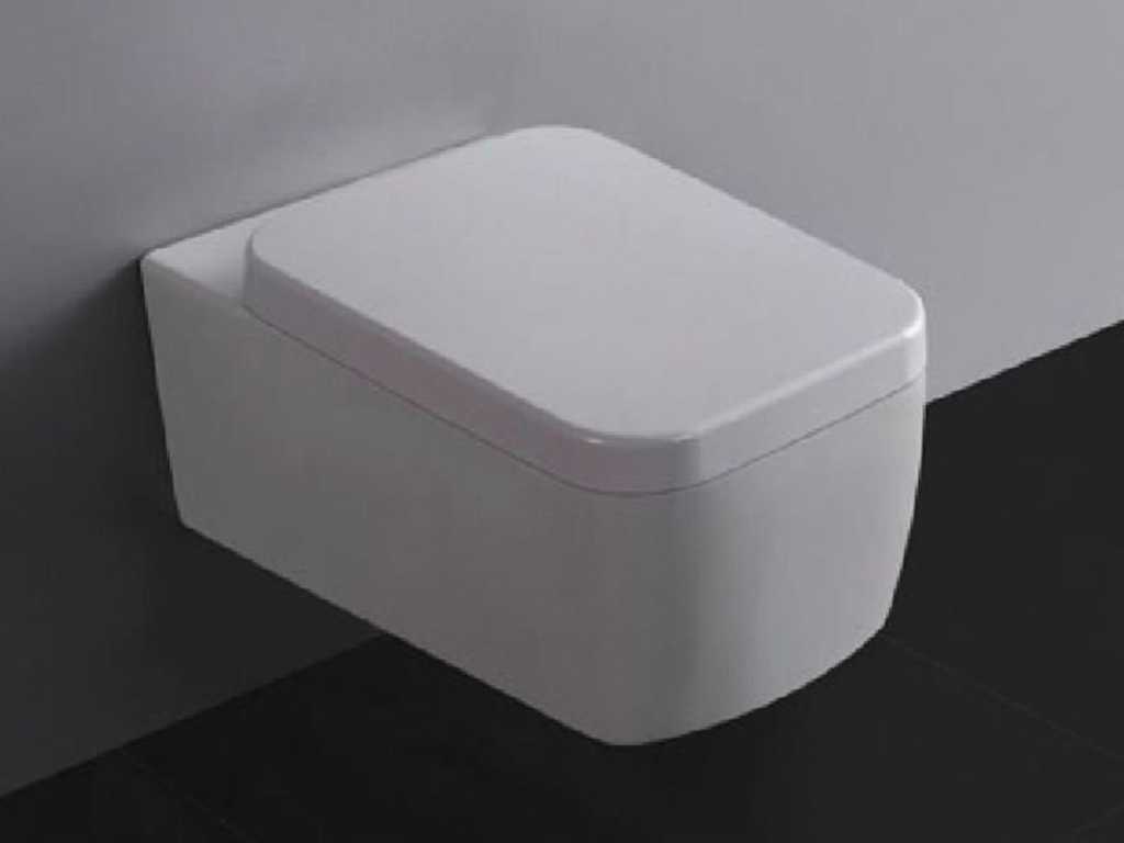 Xellanz - Larx 32.3456 - Wall-hung toilet including seat with lid.