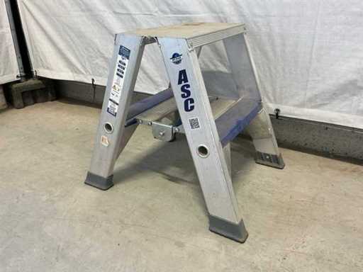 ASC DT-2 Ladder