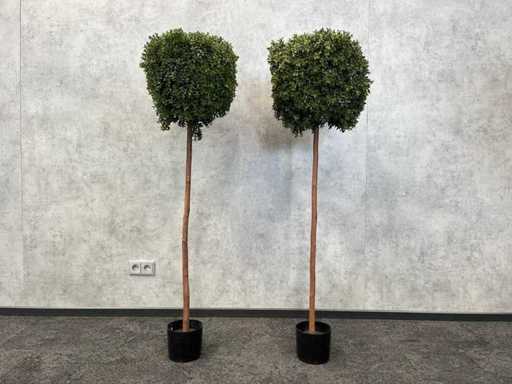 2x arbore de buis artificial H150 - nefolosită