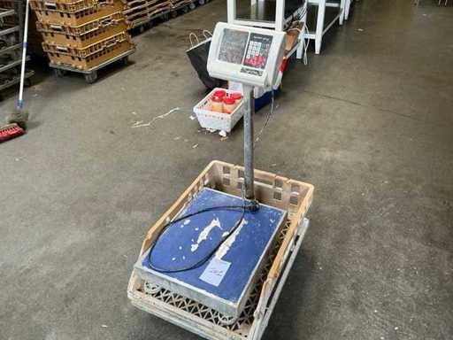 Steinberg Platform sbs pf 150 Scale