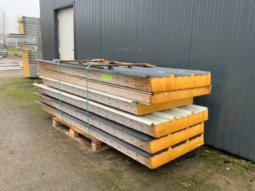 Profilo SAB - Vari pannelli sandwich del tetto (6x) 16m2