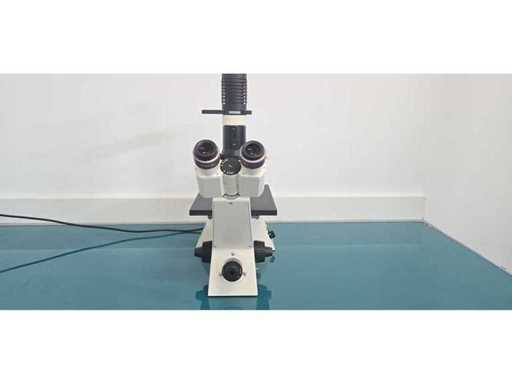 Carl Zeiss – Axiovert 25 – Umkehrphasenkontrastmikroskop