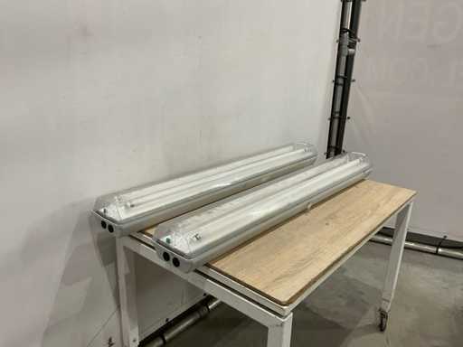 Lampe fluorescente (2x)