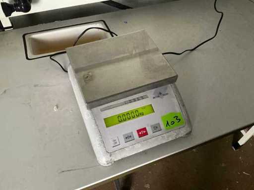Mettler Toledo Balance