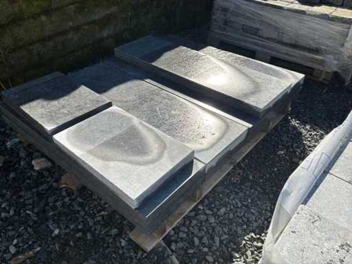 Embroidery (Belgian blue) (9x)