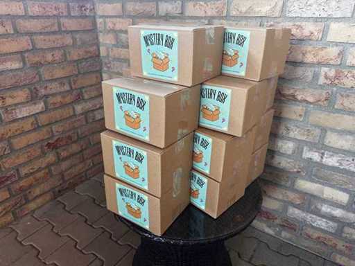 Mystery Boxes - NEW and in original packaging! 10 boxes!