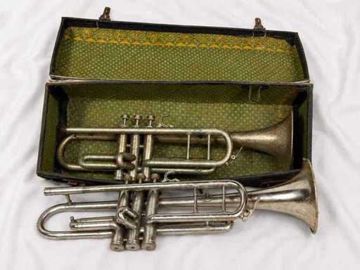 Tromba con custodia