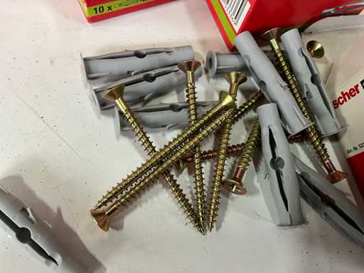 Fischer Slagpluggen 10x60 (36x)