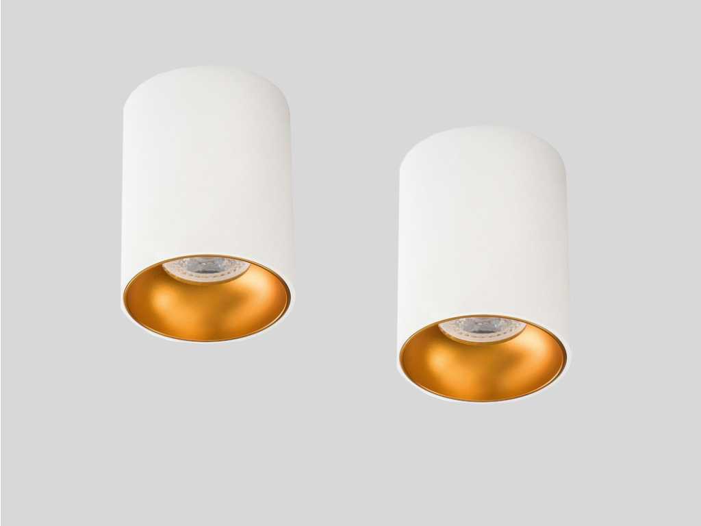 12 x GT Tube plafond spot wit/goud