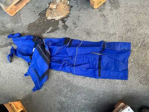 Pangoline in generale