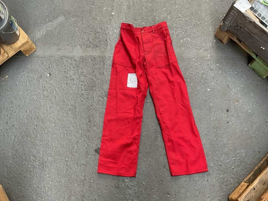 Pantaloni de lucru cu pangolină (36x)