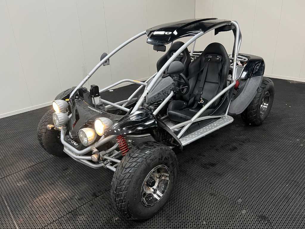 Pgo cheap buggy 500