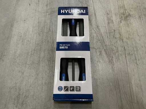 Set de dosare Hyundai 59570 cu 3 piese (101x)