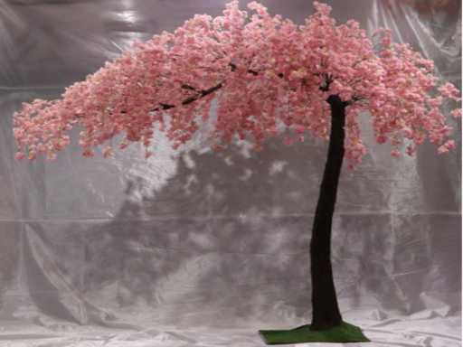 Artificial Sakura boom