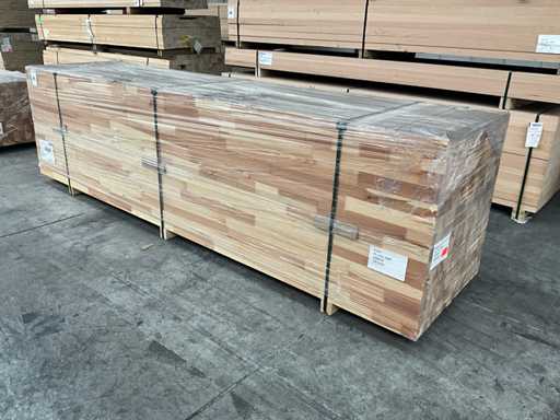 Belka świerkowa (196x)