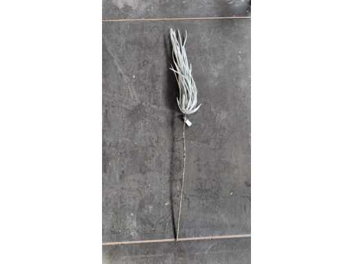 Latex Kunstpflanze (70x)