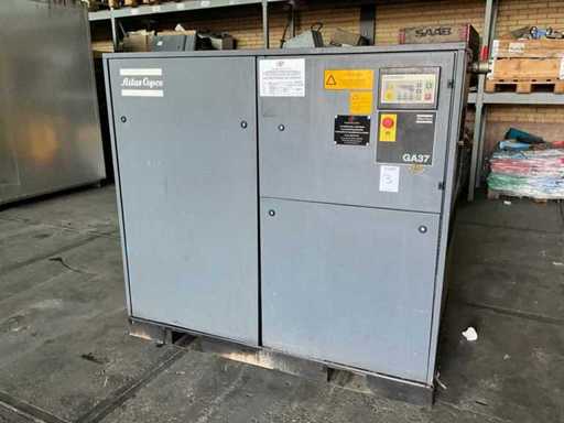 1996 Atlas Copco GA37 Schraubenkompressor