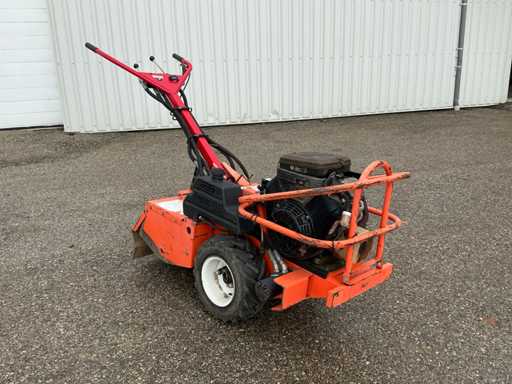 Barreto 1620 Tuinfrees