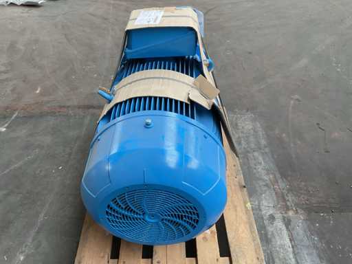 Motor eléctrico Elektra 2018