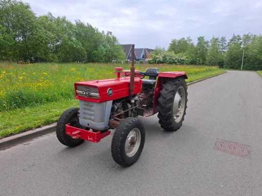 1970 Massey Ferguson 135 Oldtimer-Traktor